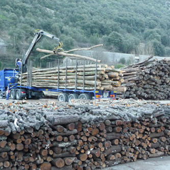 Achat de bois de chauffage près de Montpellier : Puech Bois Energie - Achat  de bois de chauffage près de Montpellier : Puech Bois Energie