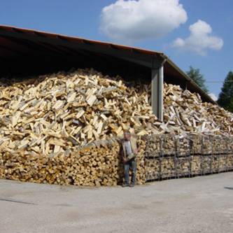 reserve de bois