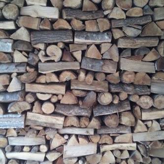 Bois près de Saint-Jean-de-Védas